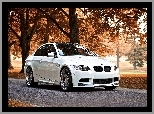 Liście, Bmw M3 Coupe, Droga